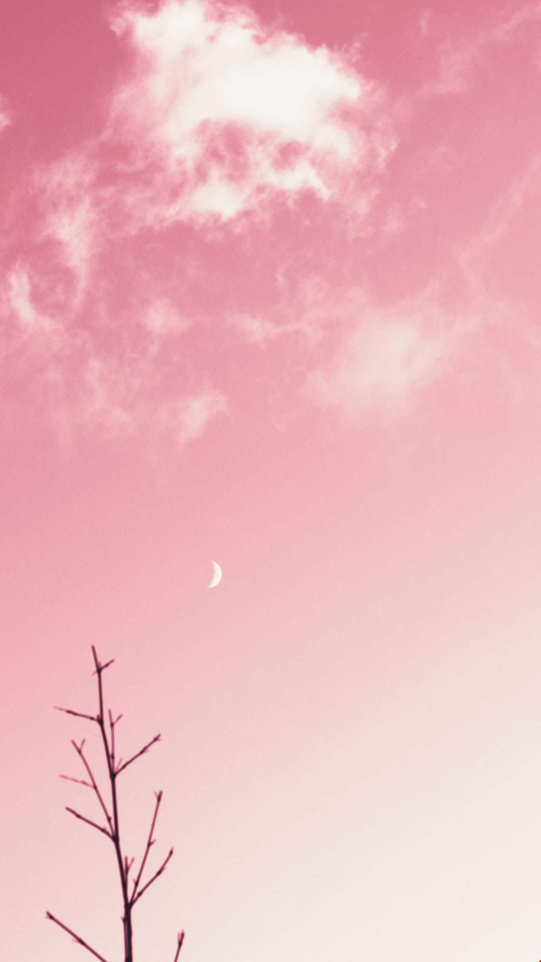 Wallpaper pink sky Wallpaper pink sky